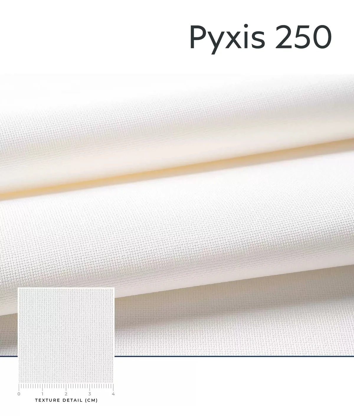 Pyxis texture close-up
