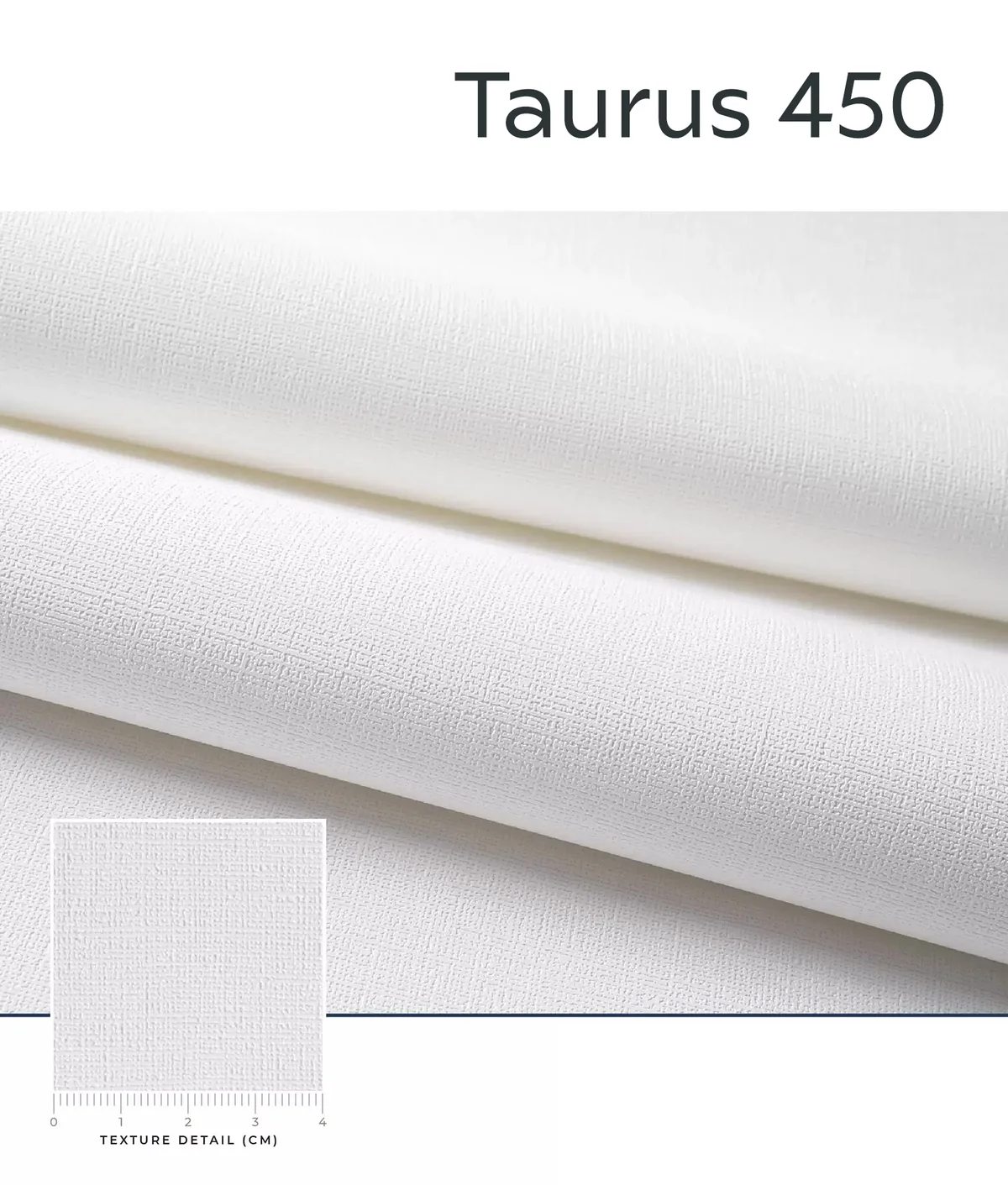 Taurus texture close-up