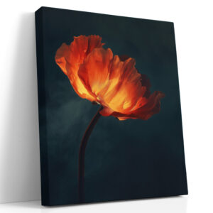 Ember Poppy at Dusk