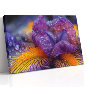Violet Iris After Rain