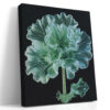 Glowing ruffled flower in mint green and teal on near-black background, botanical digital art canvas for living room
