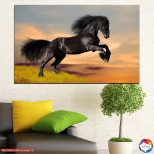 Black Mustang in Meadow Canvas Print