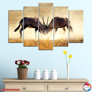 Antelope in African Grassland 5-Piece Canvas Print