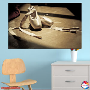 Ballet Pointe Shoes and Leg Wraps Canvas Print