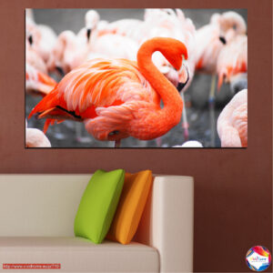Pink Flamingo in Water Canvas Print