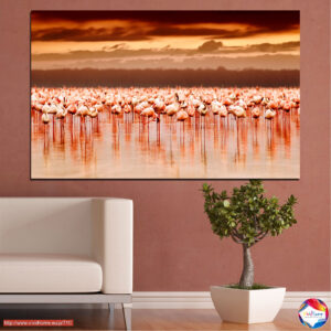Flamingos in Flight Over Water Canvas Print