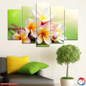 Plumeria Bouquet 5-Piece Canvas Print Set