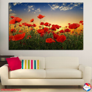 Poppy Field at Sunset 5-Piece Canvas Print