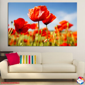 Red Poppies Five-Panel Canvas Print