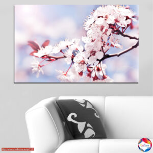 Spring Blossoms on Tree Branch Canvas Print