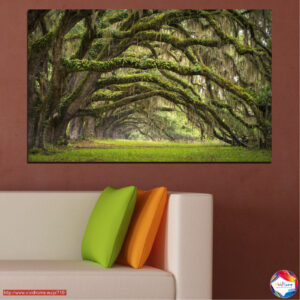 Talking Trees in Peace and Prosperity Canvas Print