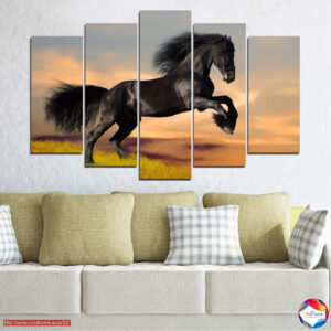 Black Mustang in Meadow 5-Piece Canvas Print