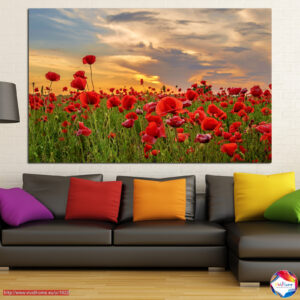 Red Poppies Under Stormy Sky 5-Piece Canvas Print