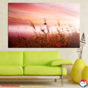 Careless summer wind 1 piece №0055