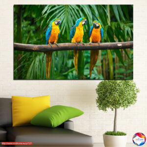 Three Parrots in Tropical Foliage Canvas Print