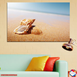 Veined Rapa Whelk on Sand Canvas Print