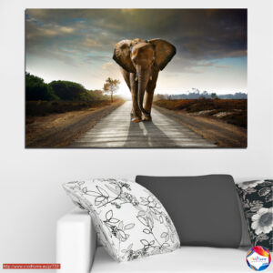 Elephant Mind Road Canvas Print