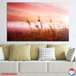 Wheat Field at Sunset Canvas Print